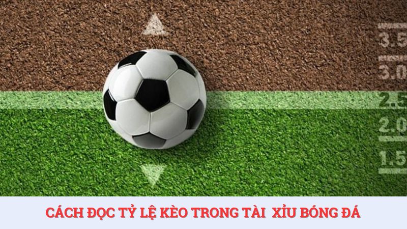 Bet thủ cần biết cách đọc các tỷ lệ kèo trong tài xỉu bóng đá để hiểu luật chơi ra sao.