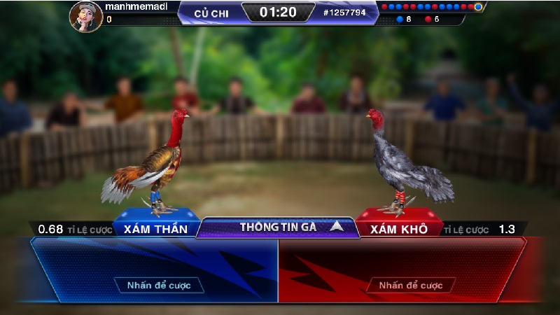 Đá gà cựa dao mang đến trải nghiệm tối ưu cho thành viên
