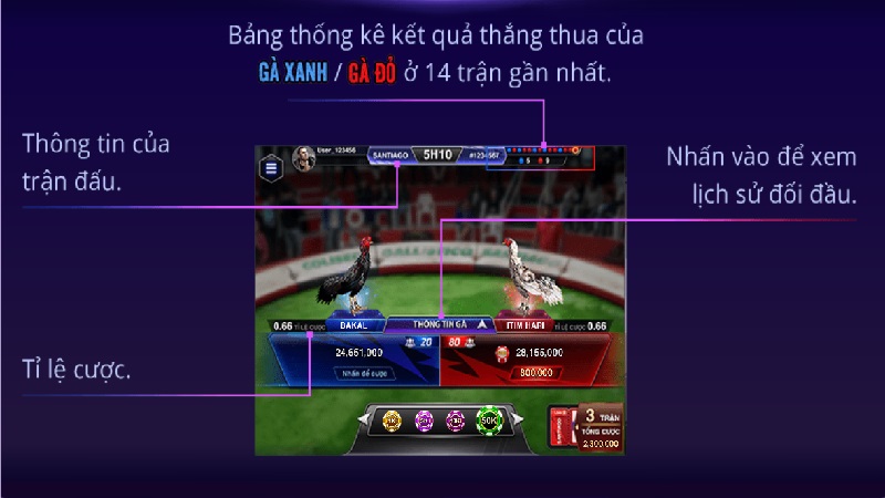 Đặt cược đá gà đơn giản