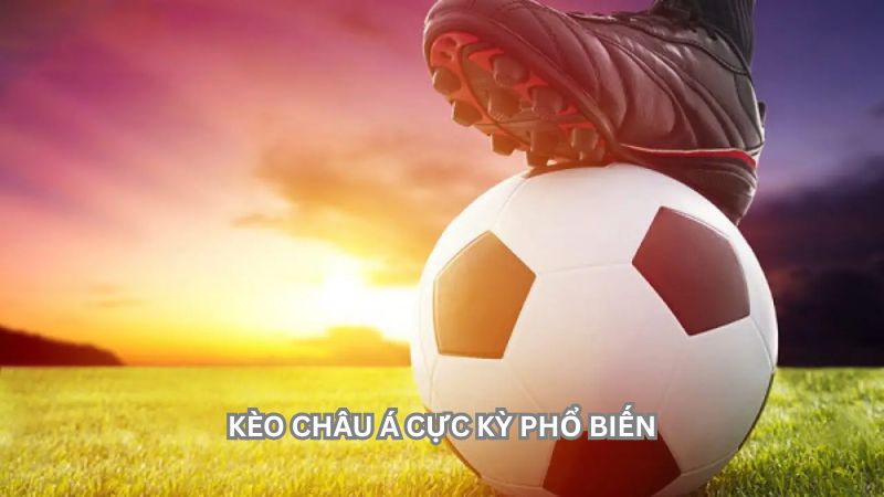 Kèo cược Châu Á phổ biến nhất trong giải Ngoại Hạng Anh