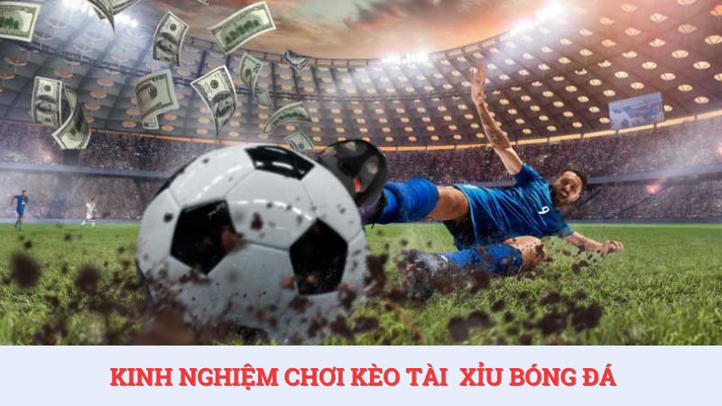 Anh em cần học hỏi kinh nghiệm chơi tài xỉu bóng đá là gì để nâng cao xác suất thắng.